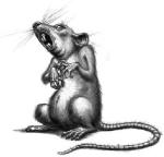 Kisah Sang Tikus Ceritamotivasi-tikus